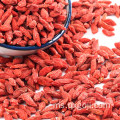 Ningxia organik kering buah goji berry merah